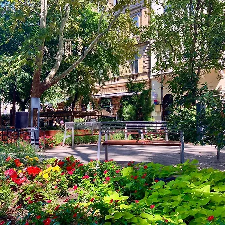 Apartman Dohany Design *