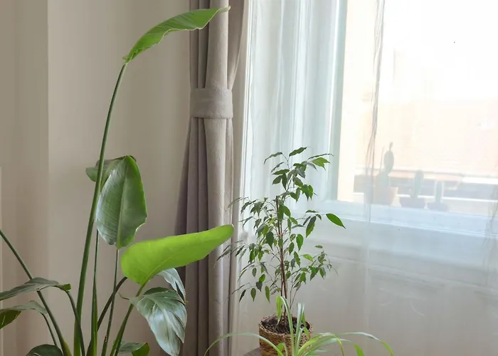 Dohany Design ブダペスト