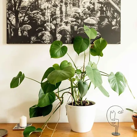 Dohany Design Apartment