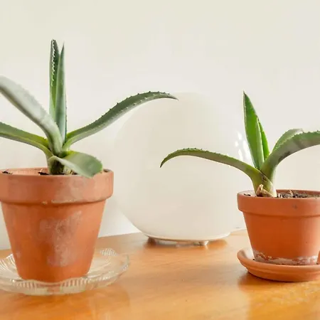 Apartment Dohany Design Budapest