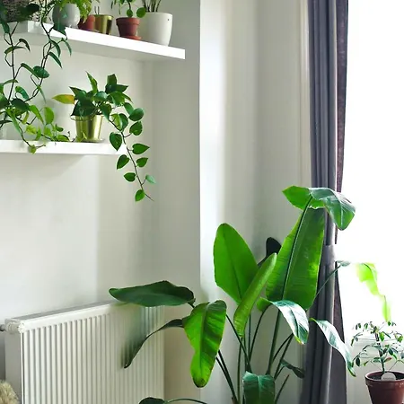 Dohany Design Apartment *