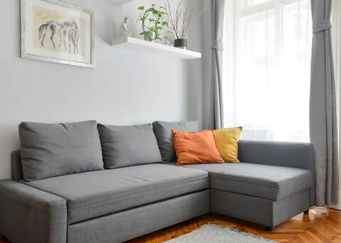 Dohany Design *