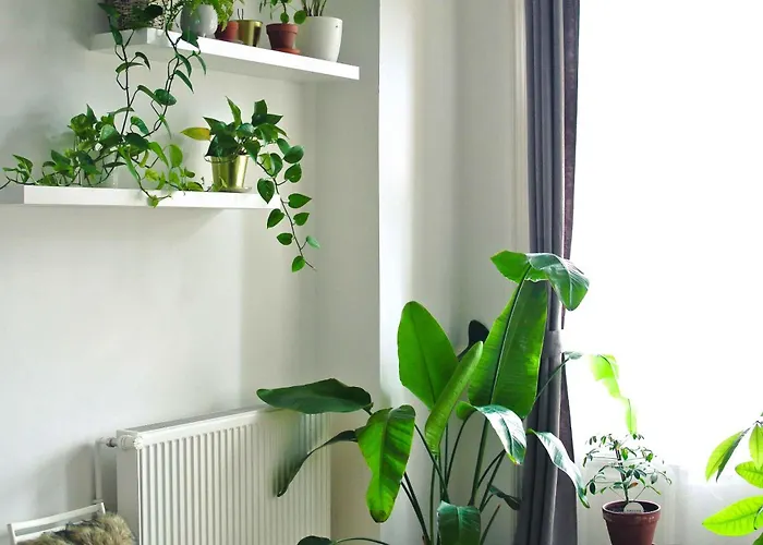 Dohany Design Apartament *