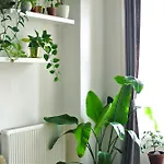 Dohany Design Daire *