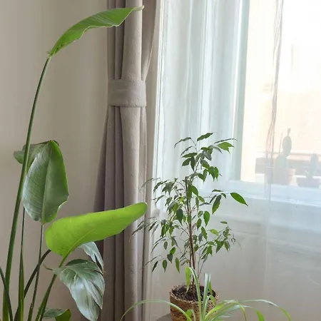 Dohany Design Будапешт