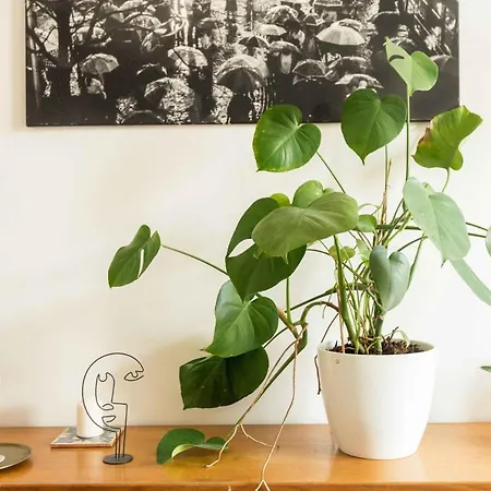 Dohany Design Appartement